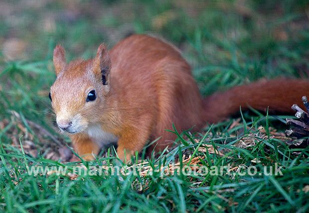 Click to See Next Image