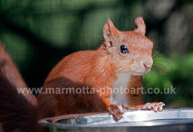 Click to See Next Image