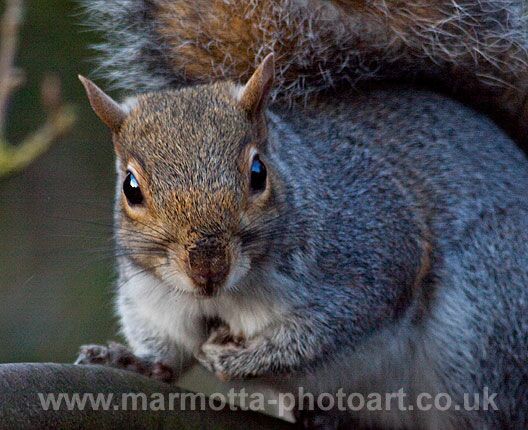 Click to See Next Image