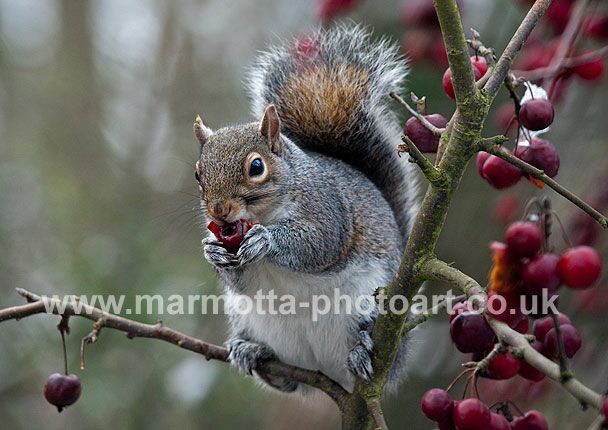 Click to See Next Image