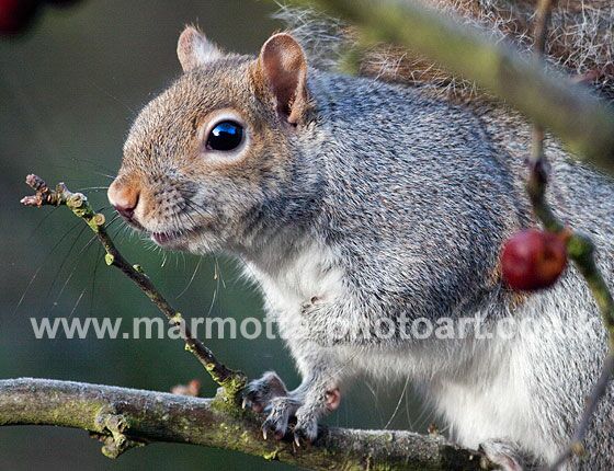 Click to See Next Image