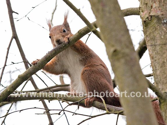 Click to See Next Image