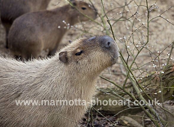 Click to See Next Image