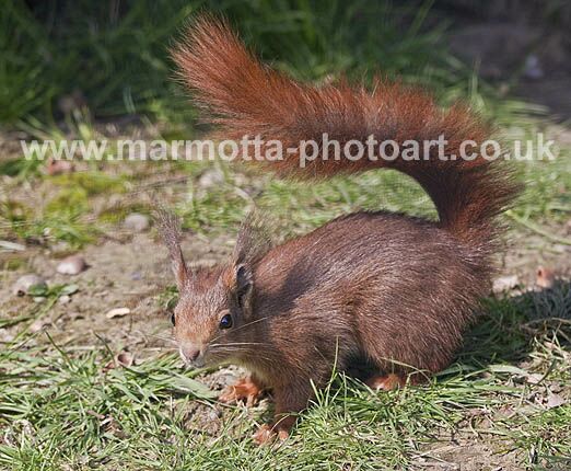 Click to See Next Image