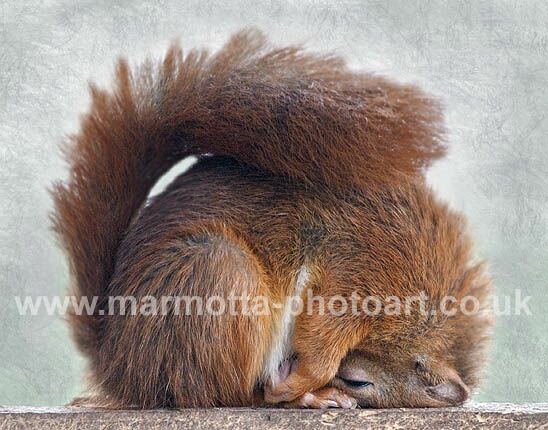 Click to See Next Image