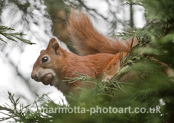 Click to See Next Image