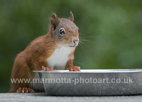 Click to See Next Image