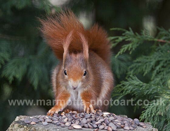 Click to See Next Image