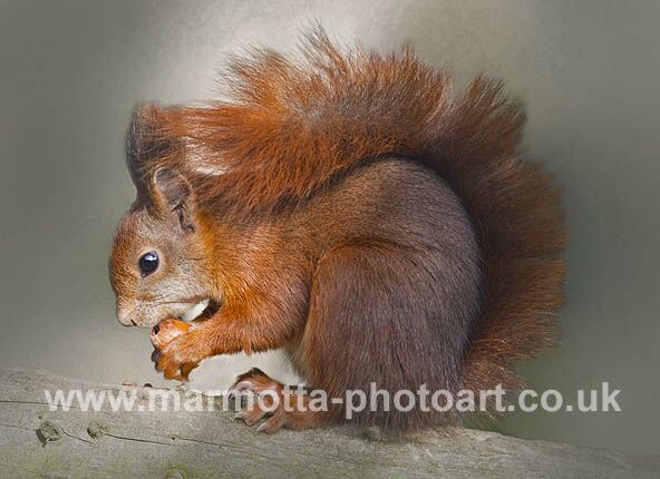 Click to See Next Image