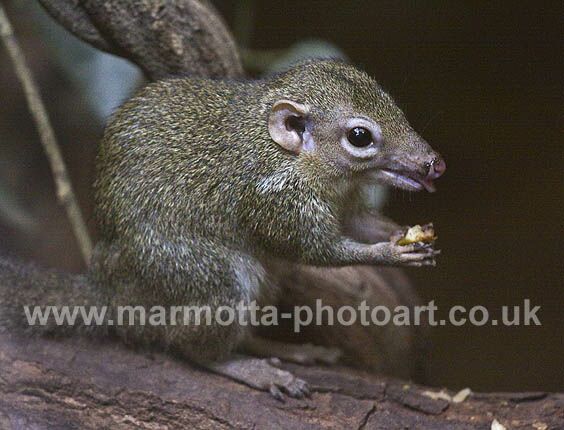 Click to See Next Image