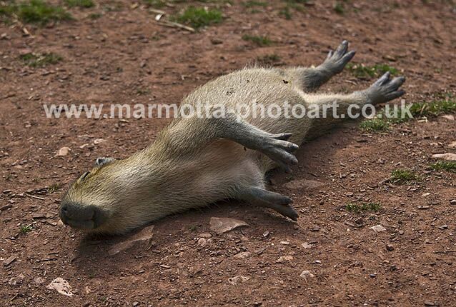 Click to See Next Image