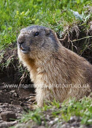 Click to See Next Image