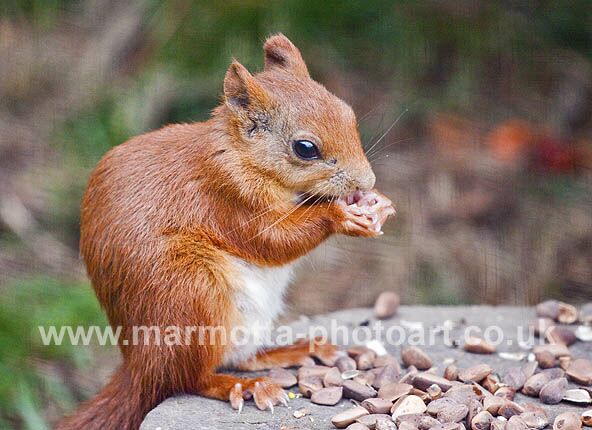 Click to See Next Image