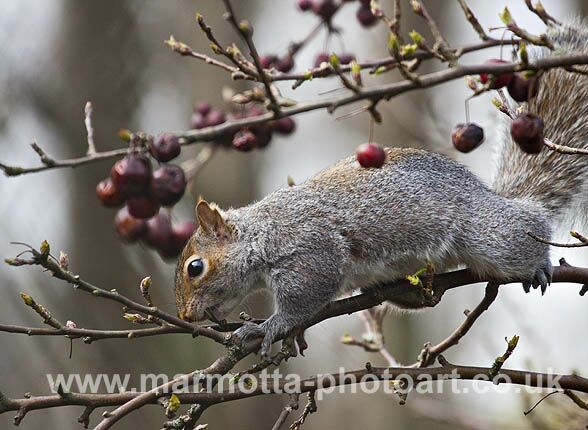 Click to See Next Image