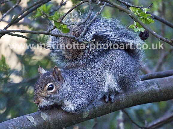 Click to See Next Image