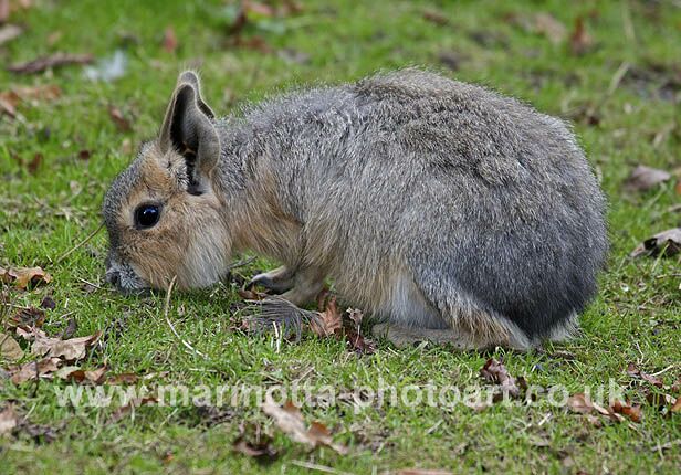 Click to See Next Image