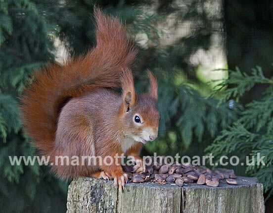 Click to See Next Image