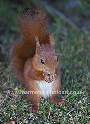 Click to See Next Image