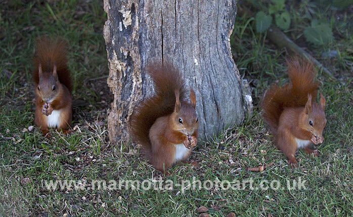 Click to See Next Image