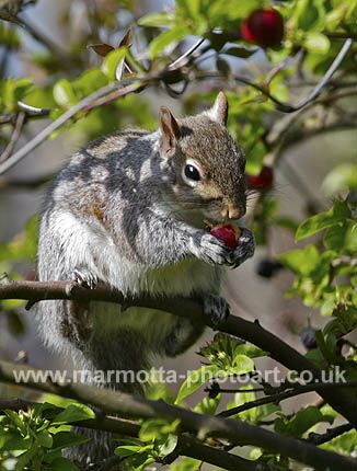 Click to See Next Image