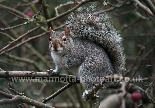 Click to See Next Image