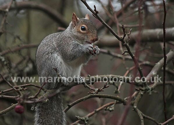 Click to See Next Image