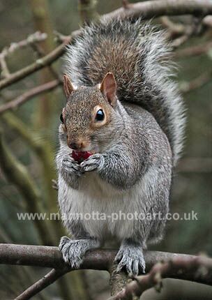 Click to See Next Image