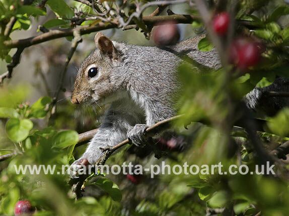 Click to See Next Image