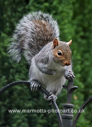 Click to See Next Image