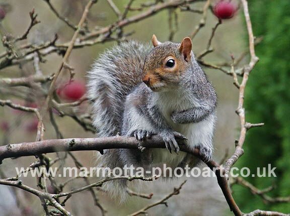 Click to See Next Image