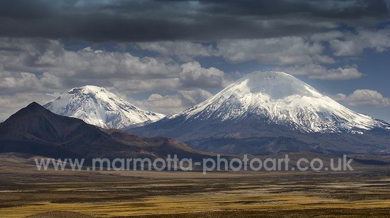 Click to See Next Image