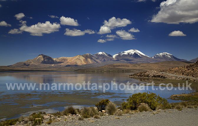 Click to See Next Image