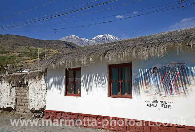 Click to See Next Image