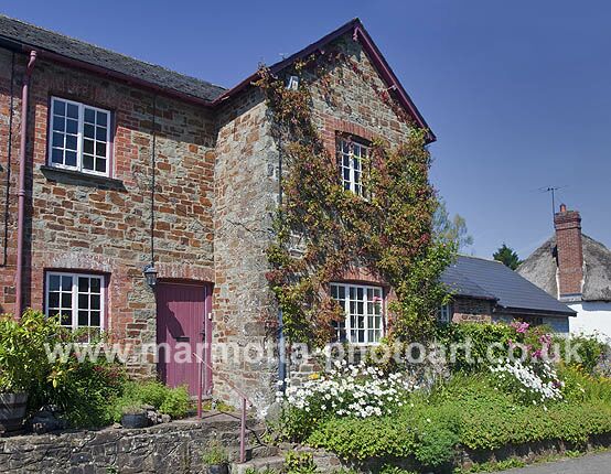 Click to See Next Image