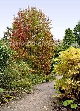 Click to See Next Image