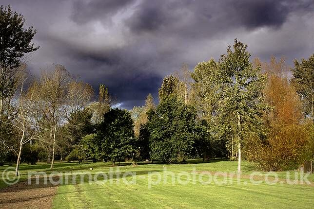 Click to See Next Image