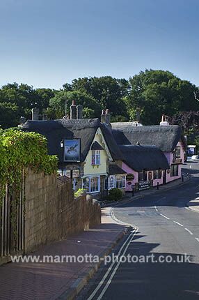 Click to See Next Image