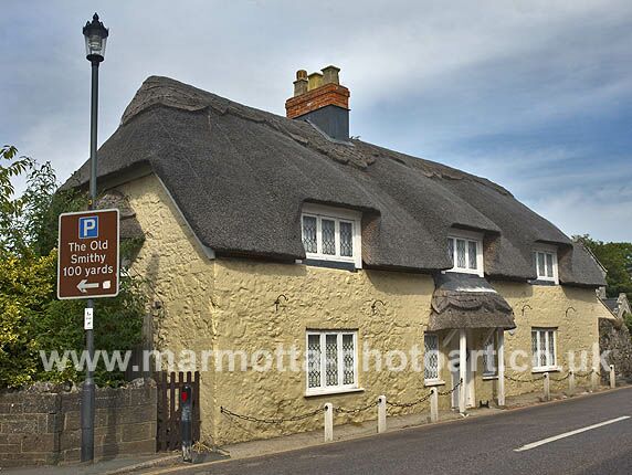 Click to See Next Image