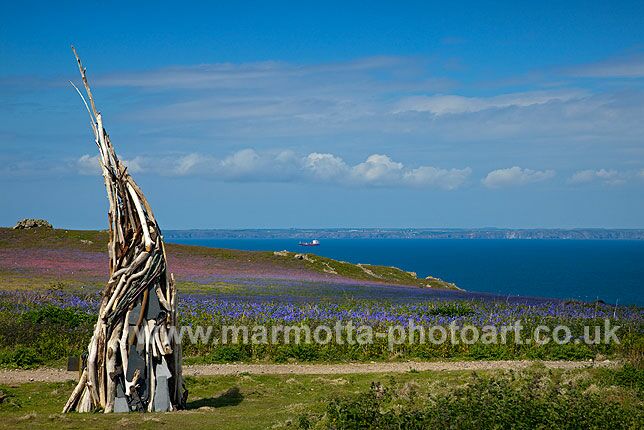 Click to See Next Image