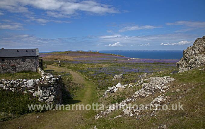 Click to See Next Image