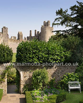 Click to See Next Image