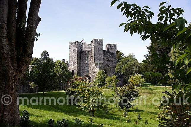 Click to See Next Image