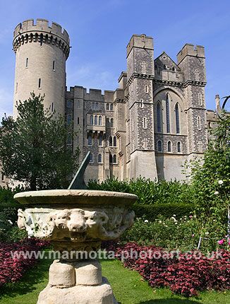 Click to See Next Image