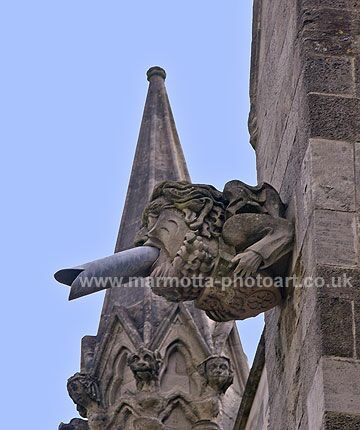 Click to See Next Image