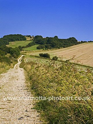 Click to See Next Image