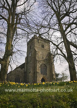 Click to See Next Image