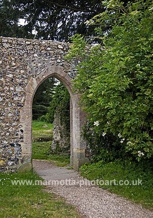 Click to See Next Image