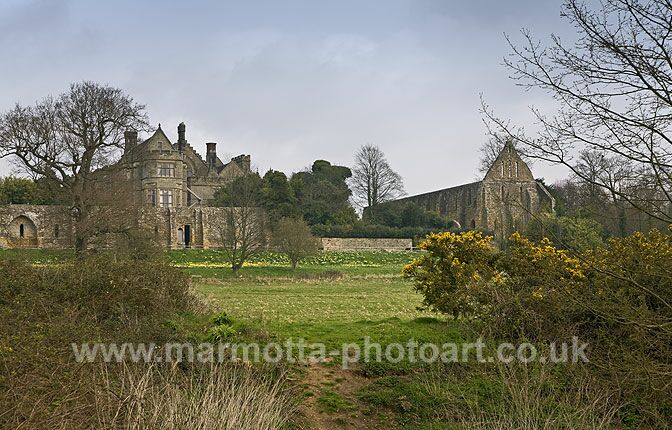 Click to See Next Image