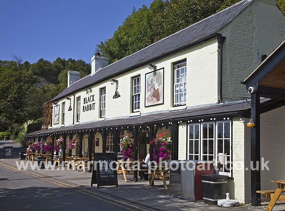 Click to See Next Image