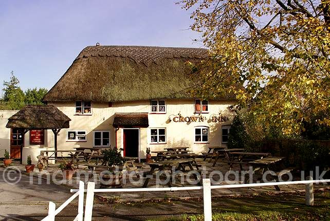 Click to See Next Image